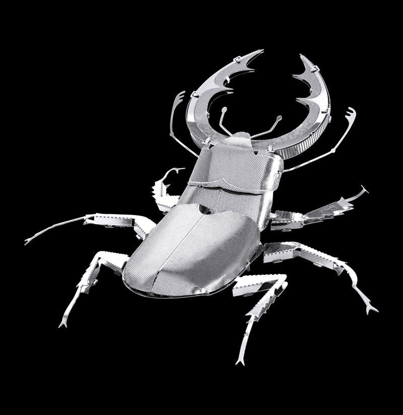 Metal Stag Beetle 3D Model-Kids-Metal Earth-PaxtonGate