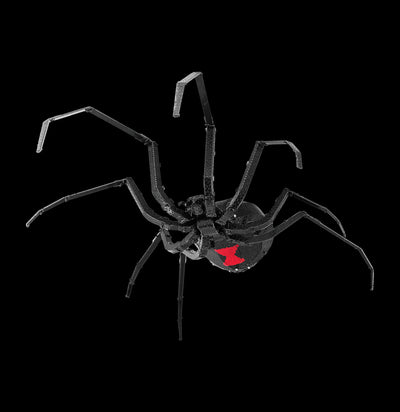 Metal Black Widow 3D Model-Kids-Metal Earth-PaxtonGate