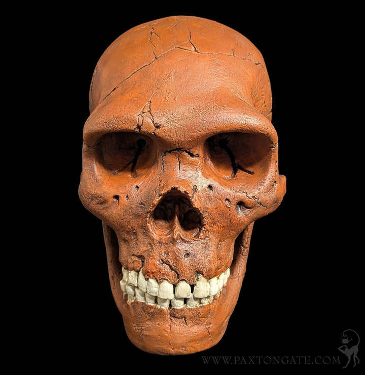 Paxton_Gate_Monkey_man_skull_N
