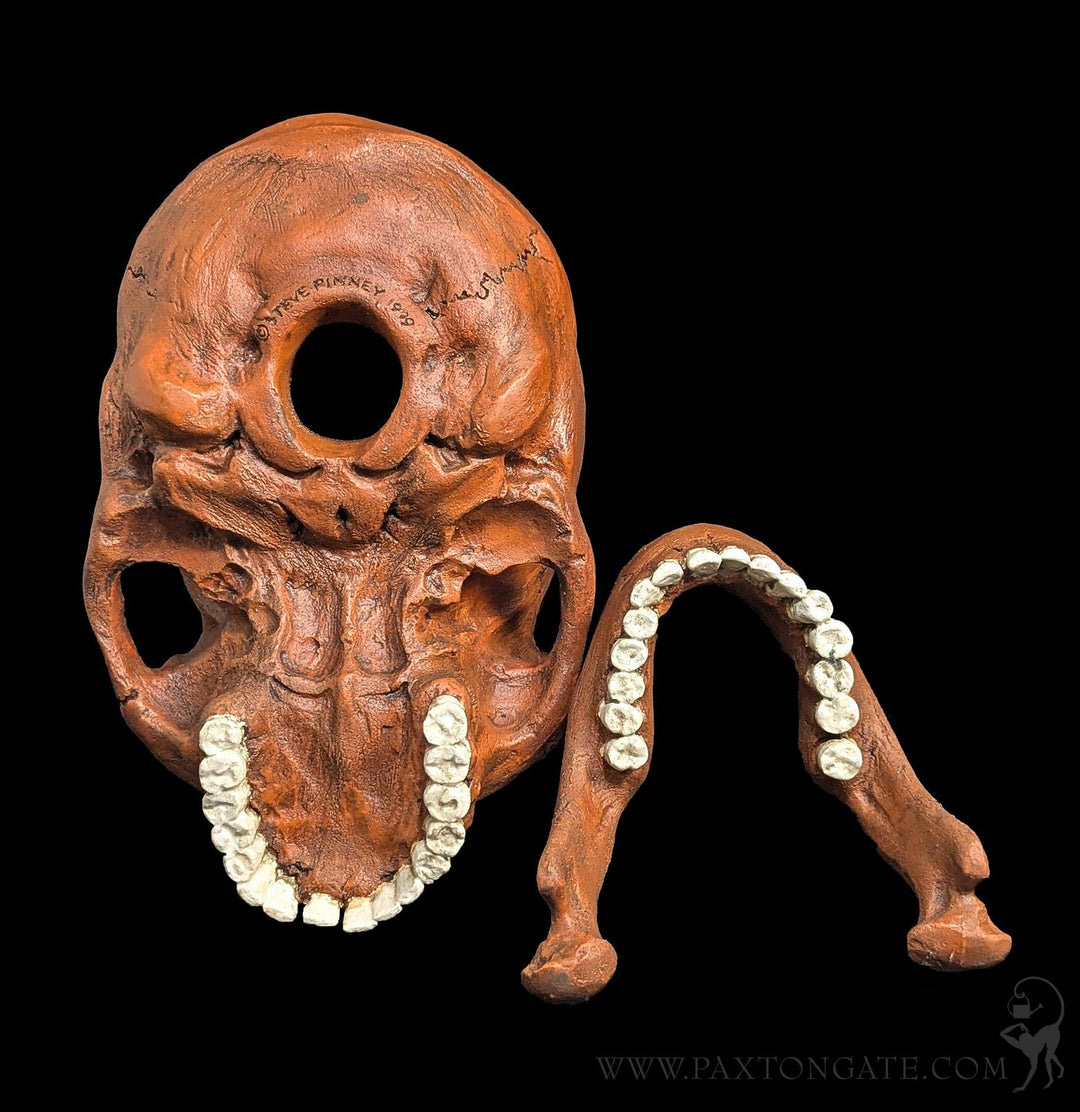 Neandertal Skull Replica For Sale | Paxton Gate