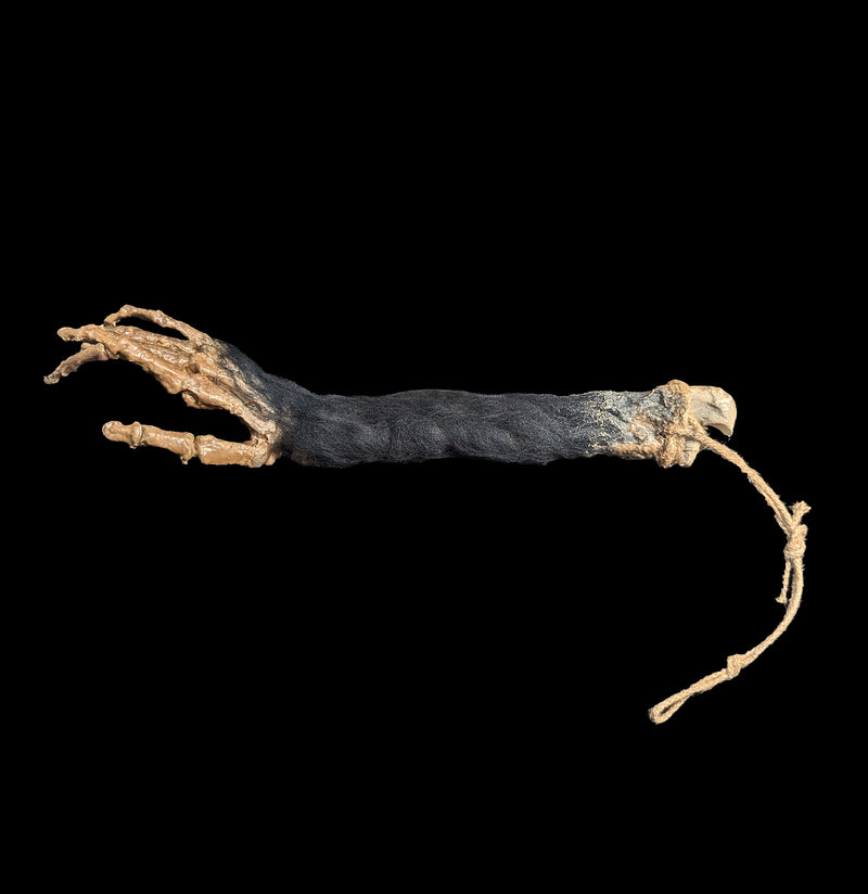 Monkey Paw Replica-Skulls & Bones-Dapper Cadaver-PaxtonGate