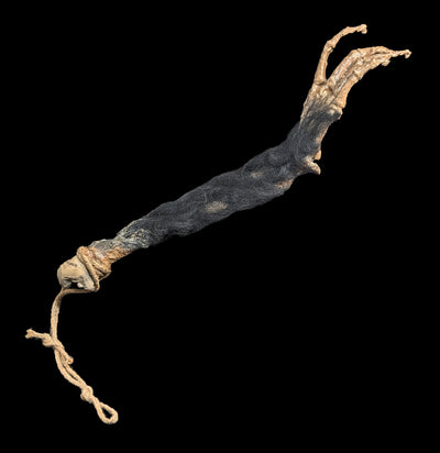 Monkey Paw Replica-Skulls & Bones-Dapper Cadaver-PaxtonGate