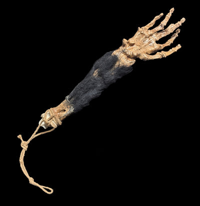 Monkey Paw Replica-Skulls & Bones-Dapper Cadaver-PaxtonGate