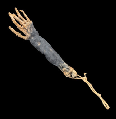 Monkey Paw Replica-Skulls & Bones-Dapper Cadaver-PaxtonGate