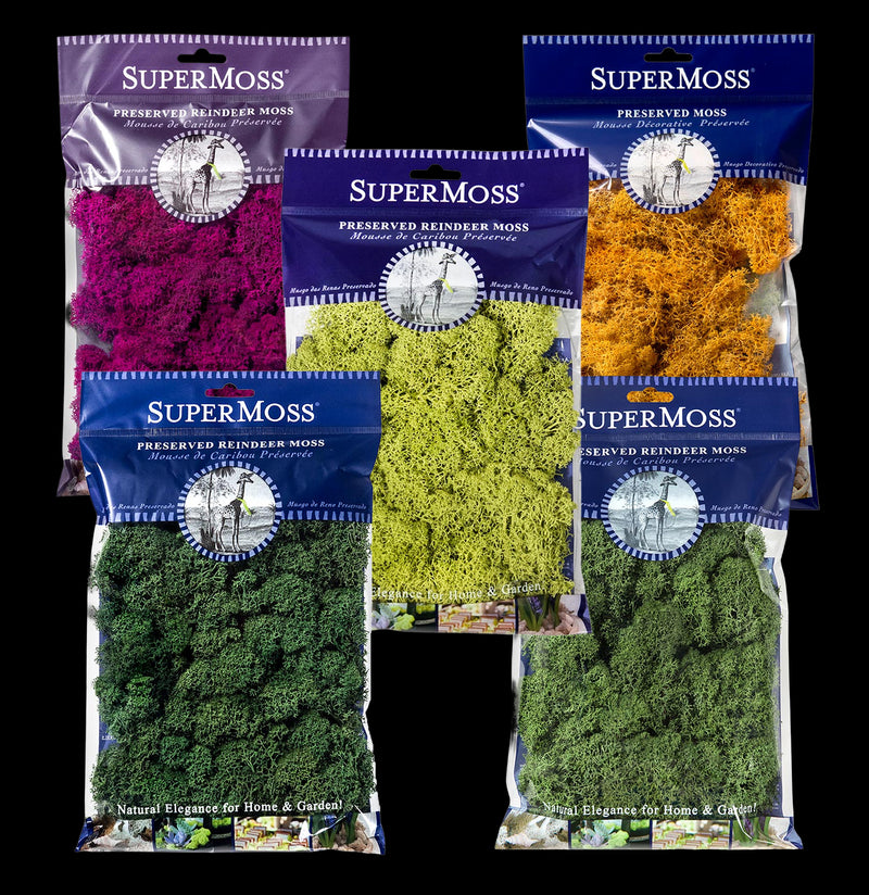SuperMoss Reindeer Moss-Garden Supplies-BFG-PaxtonGate