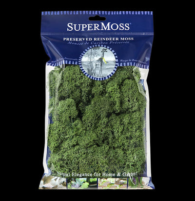 SuperMoss Reindeer Moss-Garden Supplies-BFG-PaxtonGate