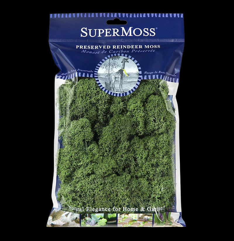 SuperMoss Reindeer Moss-Garden Supplies-BFG-PaxtonGate