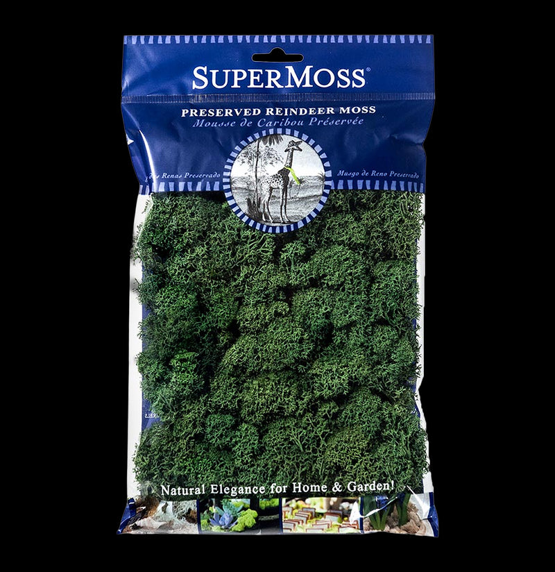 SuperMoss Reindeer Moss-Garden Supplies-BFG-PaxtonGate