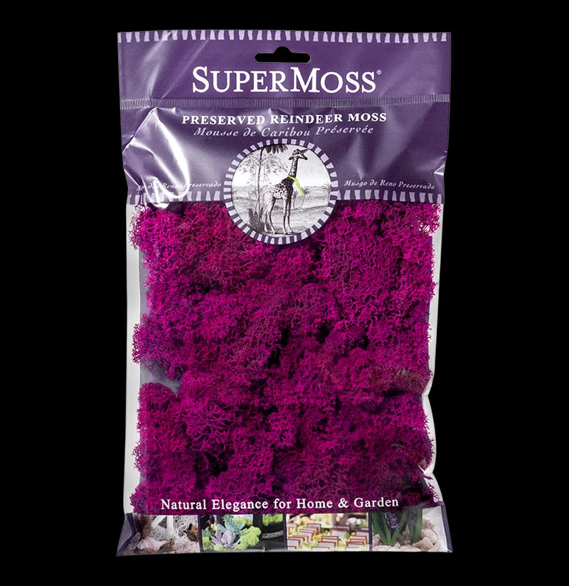 SuperMoss Reindeer Moss-Garden Supplies-BFG-PaxtonGate