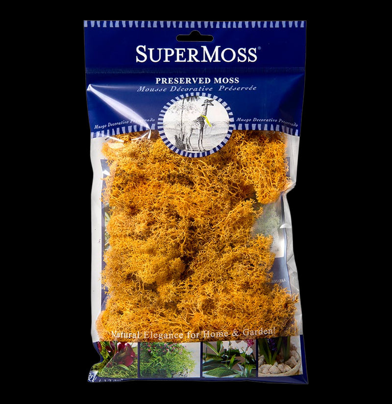 SuperMoss Reindeer Moss-Garden Supplies-BFG-PaxtonGate