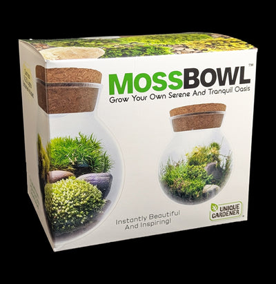 Mossbowl Terrarium Kit-Plants-Silver Circle Productions-PaxtonGate
