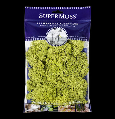 SuperMoss Reindeer Moss-Garden Supplies-BFG-PaxtonGate