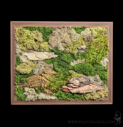 Rectangular Moss Wall-Decor-Wren Sayler-PaxtonGate