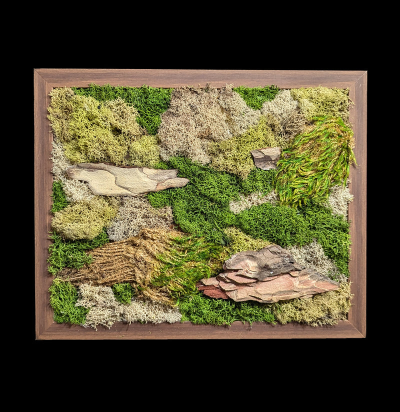 Moss Wall-Assemblage-Wren Sayler-PaxtonGate