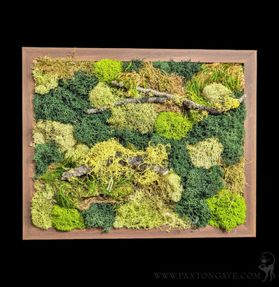 Rectangular Moss Wall-Decor-Wren Sayler-PaxtonGate