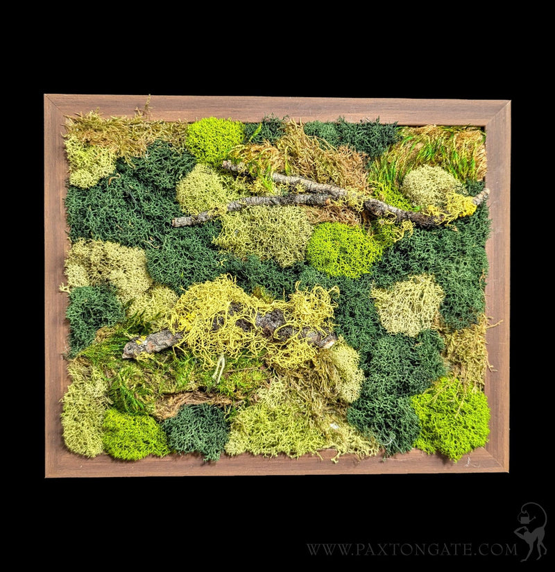 Rectangular Moss Wall-Decor-Wren Sayler-PaxtonGate