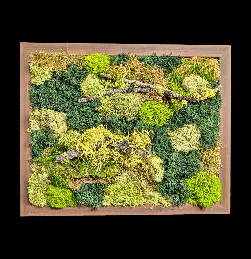 Moss Wall-Assemblage-Wren Sayler-PaxtonGate