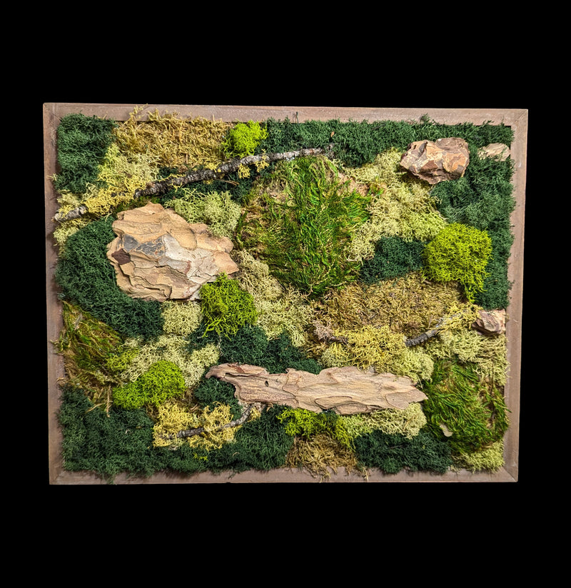 Moss Wall-Assemblage-Wren Sayler-PaxtonGate