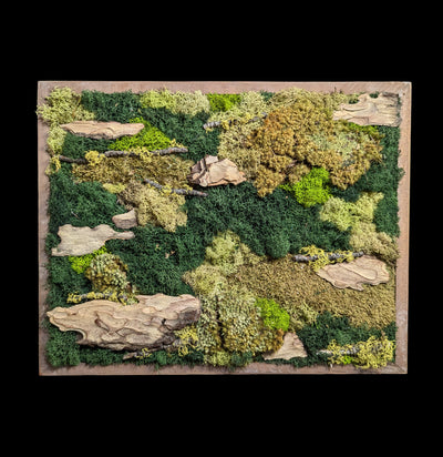 Moss Wall-Assemblage-Wren Sayler-PaxtonGate