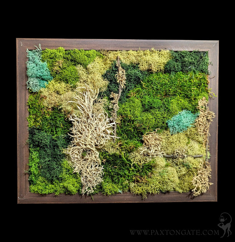 Rectangular Moss Wall-Decor-Wren Sayler-PaxtonGate