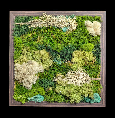 Square Moss Wall-Assemblage-Wren Sayler-PaxtonGate
