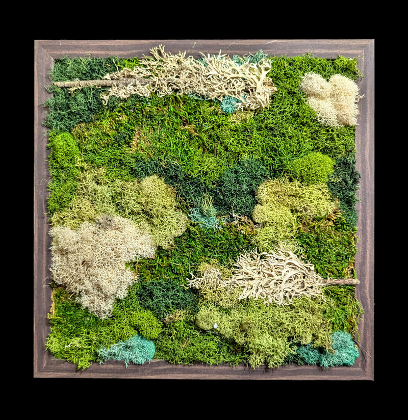 Square Moss Wall-Assemblage-Wren Sayler-PaxtonGate