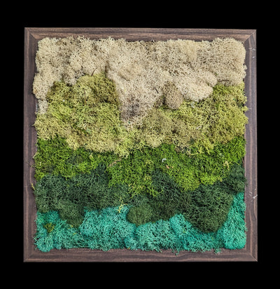 Square Moss Wall-Assemblage-Wren Sayler-PaxtonGate