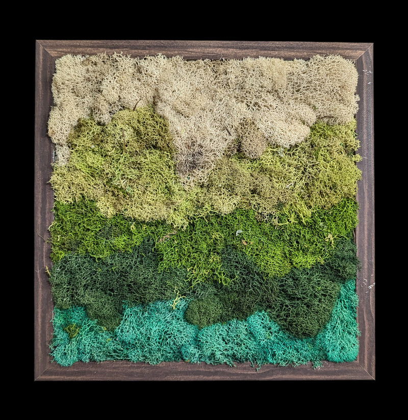 Square Moss Wall-Assemblage-Wren Sayler-PaxtonGate