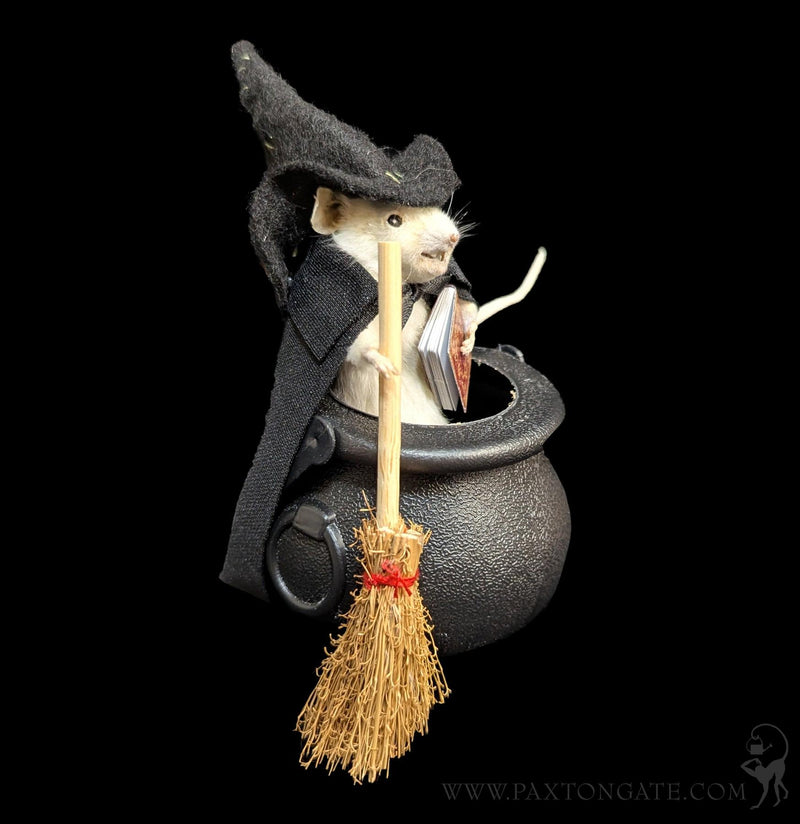 Cauldron Witch Taxidermy Mouse-Taxidermy-Classic mouse parade-PaxtonGate