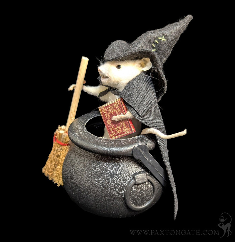 Cauldron Witch Taxidermy Mouse-Taxidermy-Classic mouse parade-PaxtonGate