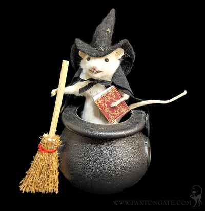Cauldron Witch Taxidermy Mouse-Taxidermy-Classic mouse parade-PaxtonGate