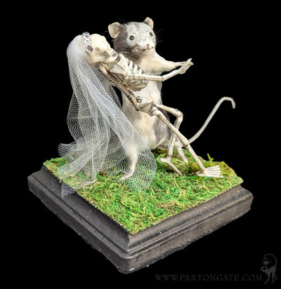 Danse Macabre Taxidermy Mouse-Taxidermy-Classic mouse parade-PaxtonGate