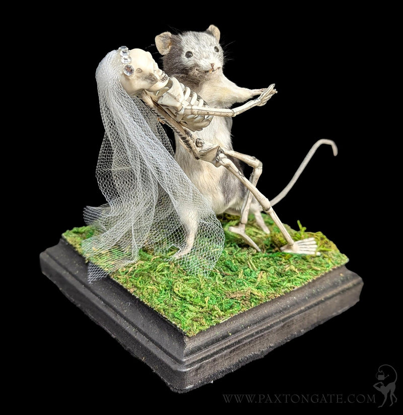Danse Macabre Taxidermy Mouse-Taxidermy-Classic mouse parade-PaxtonGate