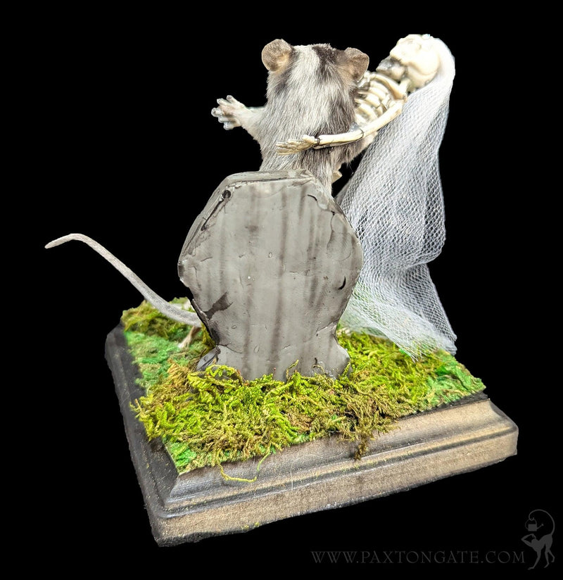 Danse Macabre Taxidermy Mouse-Taxidermy-Classic mouse parade-PaxtonGate
