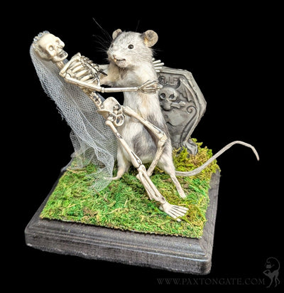 Danse Macabre Taxidermy Mouse-Taxidermy-Classic mouse parade-PaxtonGate