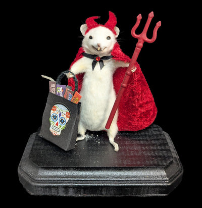 Devil Trick-or-Treat Mouse Taxidermy-Taxidermy-Classic mouse parade-PaxtonGate