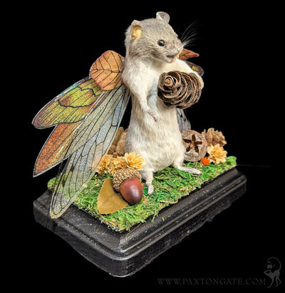 Woodland Fairy Taxidermy Mouse-Taxidermy-Classic mouse parade-PaxtonGate