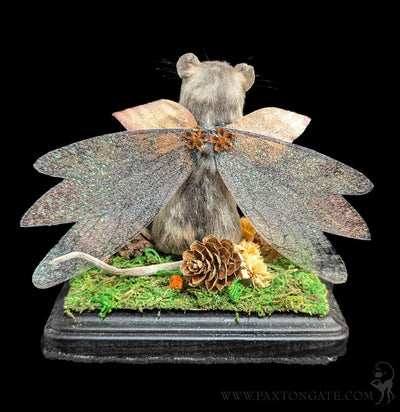 Woodland Fairy Taxidermy Mouse-Taxidermy-Classic mouse parade-PaxtonGate