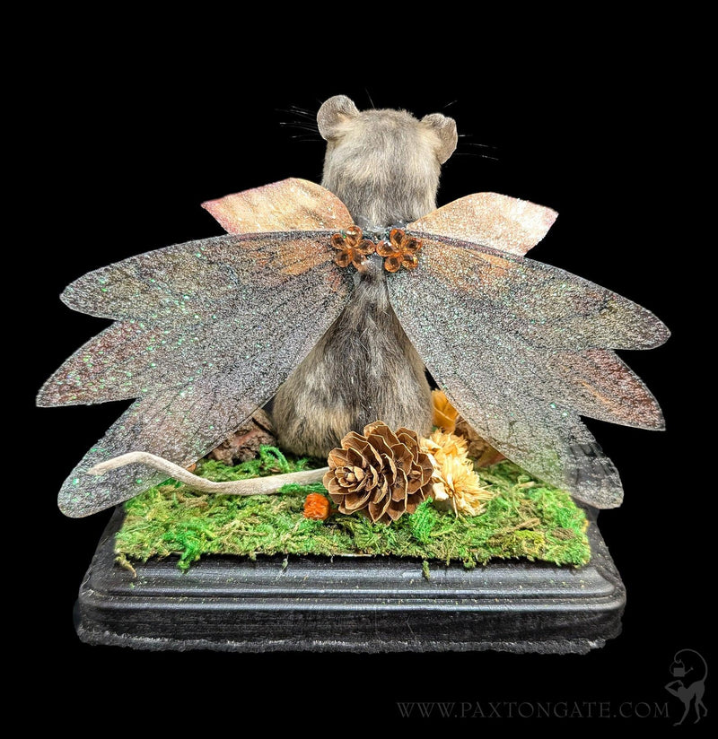 Woodland Fairy Taxidermy Mouse-Taxidermy-Classic mouse parade-PaxtonGate