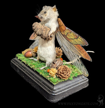 Woodland Fairy Taxidermy Mouse-Taxidermy-Classic mouse parade-PaxtonGate