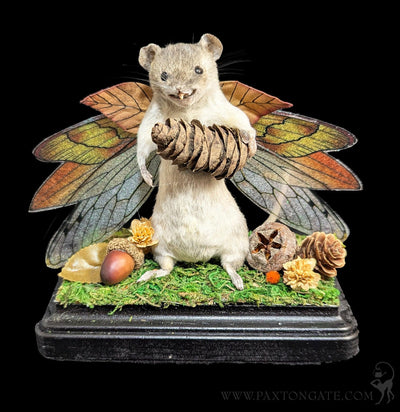 Woodland Fairy Taxidermy Mouse-Taxidermy-Classic mouse parade-PaxtonGate
