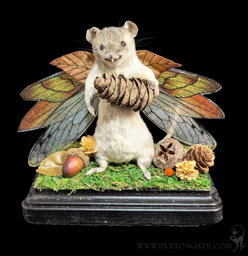 Woodland Fairy Taxidermy Mouse-Taxidermy-Classic mouse parade-PaxtonGate