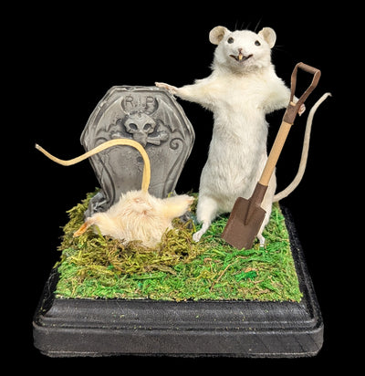 Grave Digger Mouse Taxidermy-Taxidermy-Classic mouse parade-PaxtonGate