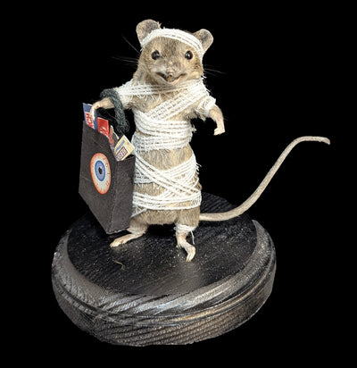 Mummy Trick-or-Treat Mouse Taxidermy-Taxidermy-Classic mouse parade-PaxtonGate