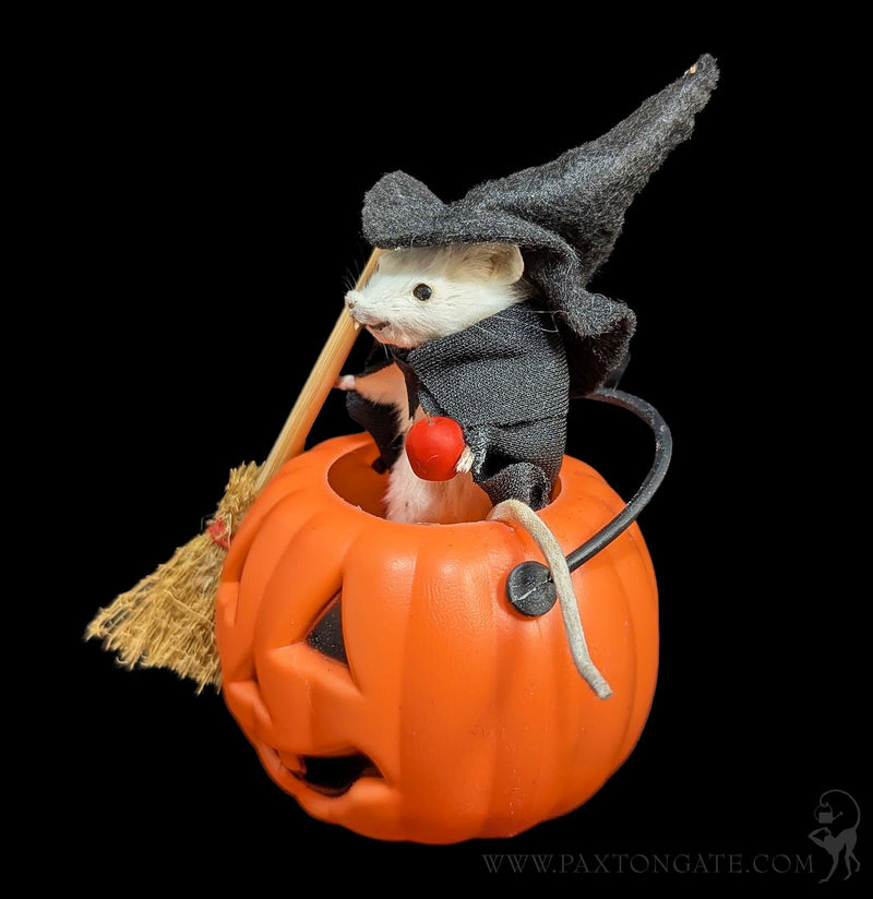 Witch in Jack-O-Lantern Taxidermy Mouse-Taxidermy-Classic mouse parade-PaxtonGate