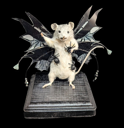 Winged Mouse Taxidermy-Taxidermy-Classic mouse parade-PaxtonGate