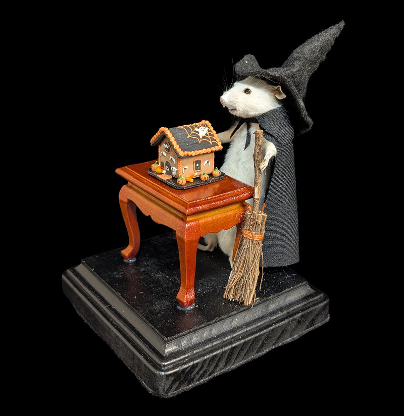 Witch Mouse Taxidermy-Taxidermy-Classic mouse parade-PaxtonGate