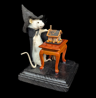 Witch Mouse Taxidermy-Taxidermy-Classic mouse parade-PaxtonGate