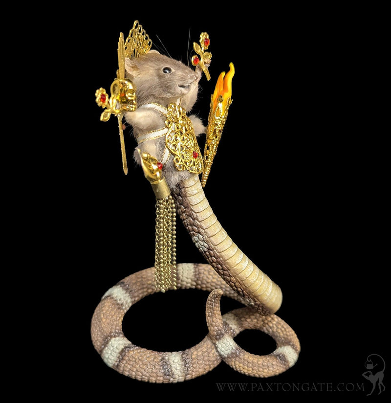 Naga Kanya Taxidermy Mouse-Taxidermy-Classic mouse parade-PaxtonGate