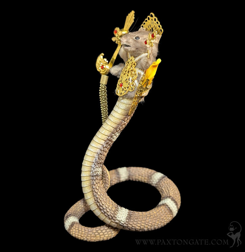 Naga Kanya Taxidermy Mouse-Taxidermy-Classic mouse parade-PaxtonGate